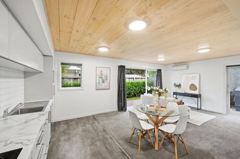 Photo of property in 7 Ettrick Lane, Richmond, Christchurch, 8013