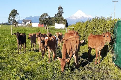 Photo of property in 396 Cape Road, Pungarehu, Opunake, 4685