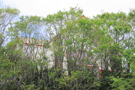 Photo of property in 1/7 Dransfield Street, Vogeltown, Wellington, 6021