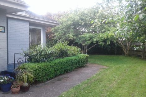 Photo of property in 91 Cook Street, Hamilton East, Hamilton, 3216