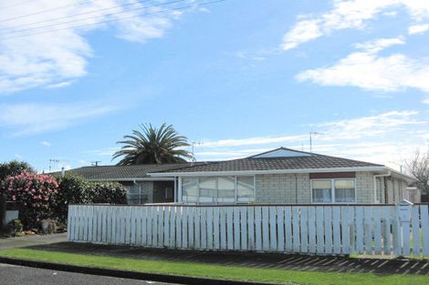 Photo of property in 3 Cornwall Street, Levin, 5510