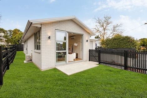 Photo of property in 18 Patrick Place, Fitzroy, Hamilton, 3206