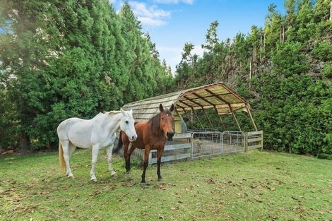 Photo of property in 213 Kauri Point Road, Tahawai, Katikati, 3170