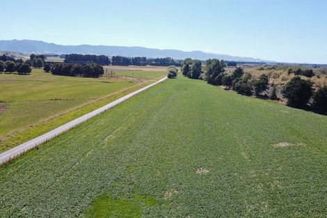 Photo of property in 423 Oringi Road, Dannevirke, 4972