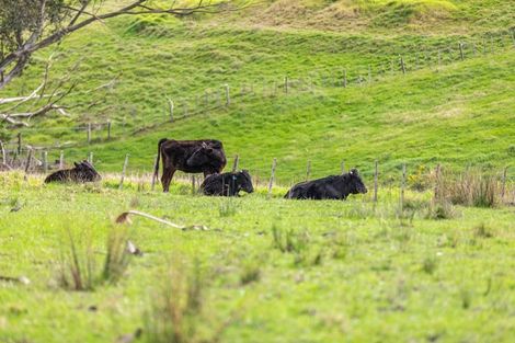 Photo of property in 390 Bawden Road, Dairy Flat, Albany, 0792