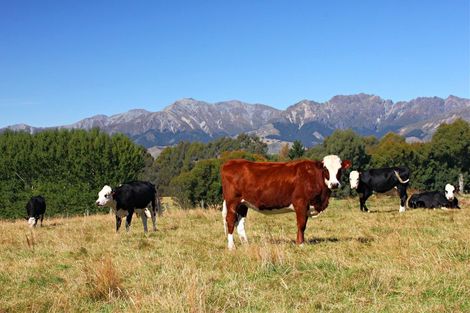 Photo of property in 691 Gillespie Road, Whare Creek, Te Anau, 9679