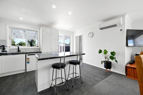 Photo of property in 59 Alfred Street, Fairfield, Hamilton, 3214