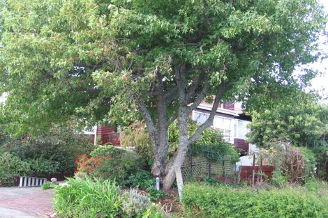 Photo of property in 45 Kingdale Road, Henderson, Auckland, 0610