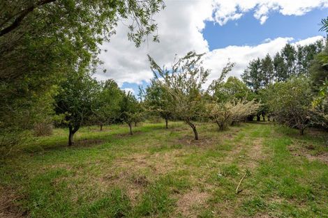 Photo of property in 3687 State Highway 12, Taheke, Kaikohe, 0473