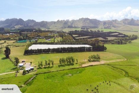 Photo of property in 105 Emerton Road, Athenree, Katikati, 3177