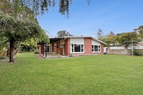 Photo of property in 5 Ashgrove Terrace, Somerfield, Christchurch, 8024