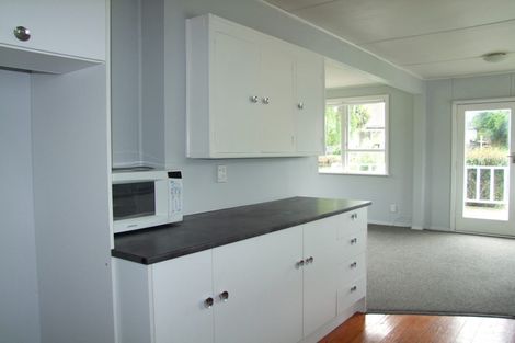 Photo of property in 24 Leman Street, Milton, 9220