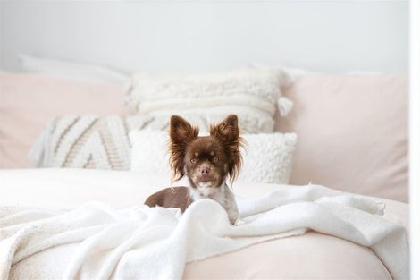 Photo of property in 165 Harewood Road, Papanui, Christchurch, 8053