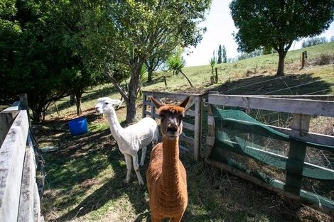 Photo of property in 504 Aspin Road, Te Miro, Cambridge, 3496