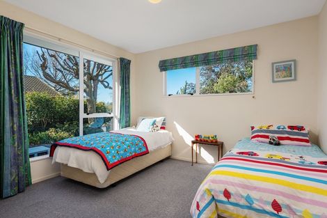 Photo of property in 39 Brooklyn Drive, Redwoodtown, Blenheim, 7201