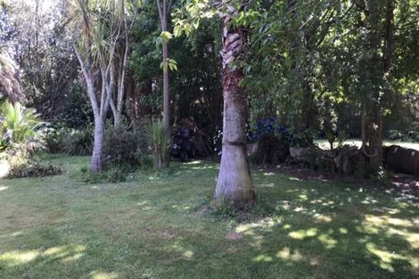 Photo of property in 48 Pukeoware Road, Waiuku, 2681