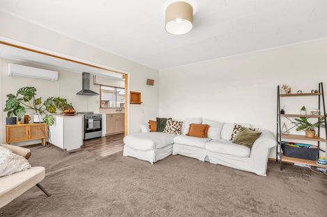 Photo of property in 66 Kitchener Street, Gore, 9710