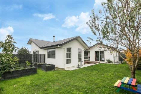 Photo of property in 29 Greenlea Place, Frimley, Hastings, 4120