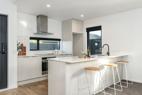 Photo of property in 199b Hills Road, Edgeware, Christchurch, 8013