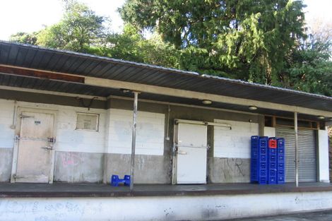 Photo of property in 23 Commercial Street, Kawakawa, 0210