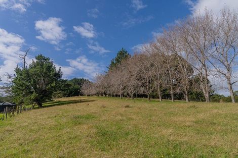 Photo of property in 425n Boat Harbour Road, Whenuakite, Whitianga, 3591