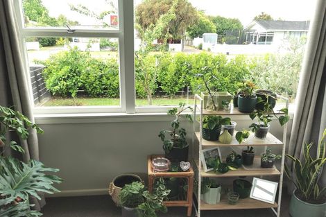 Photo of property in 1/1302 Caroline Road, Mayfair, Hastings, 4122