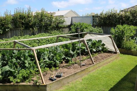 Photo of property in 4 Bonnies Chance, Seaward Bush, Invercargill, 9812
