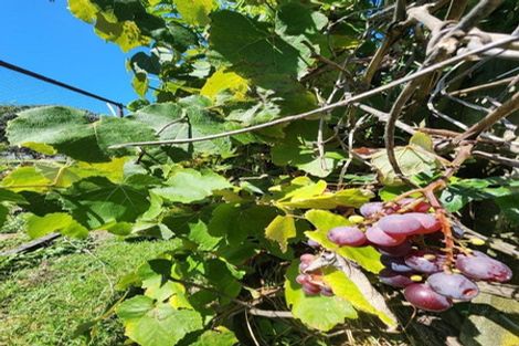 Photo of property in 36 Jans Terrace, Oakura, 4314