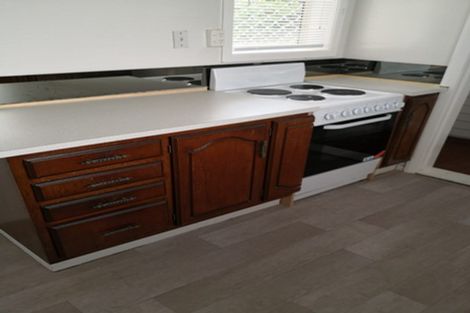 Photo of property in 14 Massey Avenue, Greenlane, Auckland, 1061