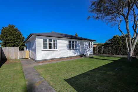 Photo of property in 24 Minifie Avenue, Melville, Hamilton, 3206