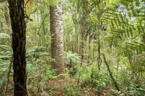 Photo of property in 112 Hikuai School Road, Hikuai, 3579