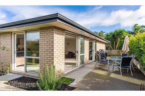 Photo of property in 24 Longview Street, Mangawhai, 0505