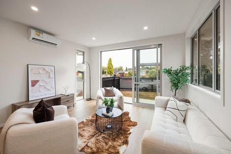 Photo of property in 18 Patrick Place, Fitzroy, Hamilton, 3206