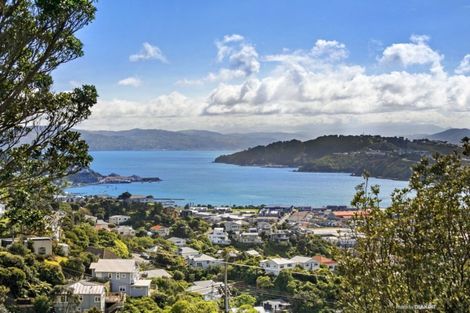 Photo of property in 38 Hornsey Road, Melrose, Wellington, 6023