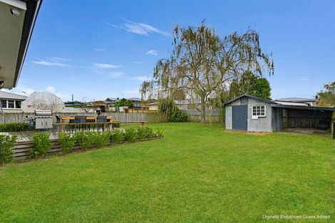 Photo of property in 270 Raeburne Street, Te Awamutu, 3800