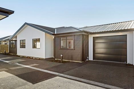 Photo of property in 101 Warden Street, Richmond, Christchurch, 8013