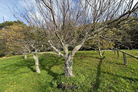 Photo of property in 87 Main Rd Havelock, Havelock, 7100