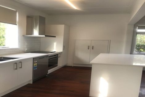 Photo of property in 28 Lloyd Avenue, Mount Albert, Auckland, 1025