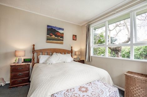 Photo of property in 909a Dufferin Street, Akina, Hastings, 4122