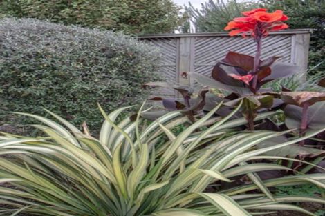 Photo of property in 5 Mountain View Road, Te Aroha, 3320