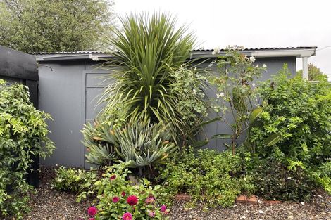 Photo of property in 8a Shanly Street, Waipawa, 4210