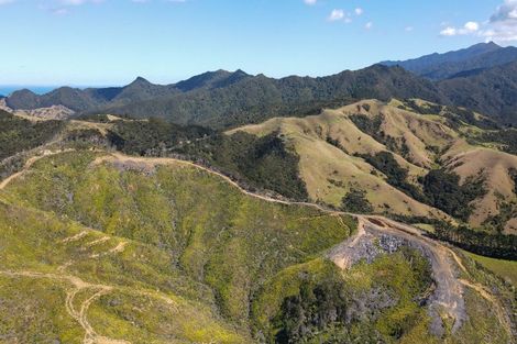 Photo of property in 478 Port Charles Road, Waikawau, Coromandel, 3584