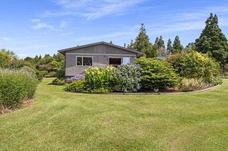 Photo of property in 194 Franklin Road, Waihi, 3682