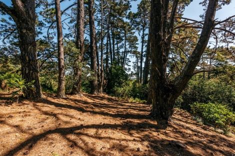 Photo of property in 12 George Street, Surfdale, Waiheke Island, 1081