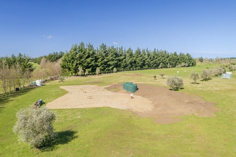 Photo of property in 170 Caldwell Road, Ongaonga, 4279