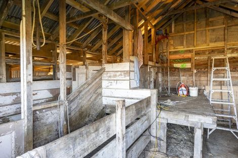 Photo of property in 8 Rutherford Road, Mosgiel, 9092