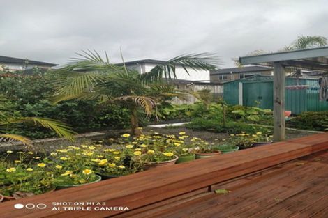 Photo of property in 48 Helianthus Avenue, Flat Bush, Auckland, 2019