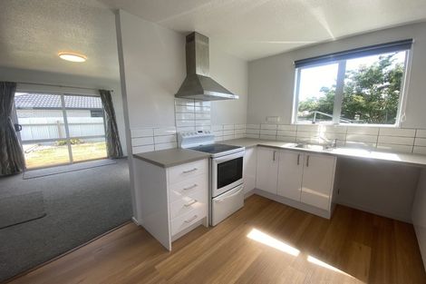 Photo of property in 7a Elzy Street, Blenheim, 7201