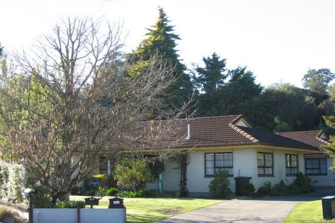 Photo of property in 13b Shortland Place, Havelock North, 4130