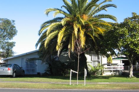 Photo of property in 113 Fairview Street, Chartwell, Hamilton, 3210